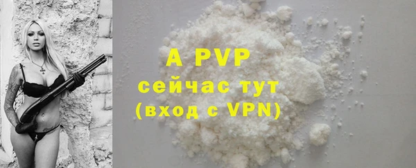 прущие грибы Абдулино