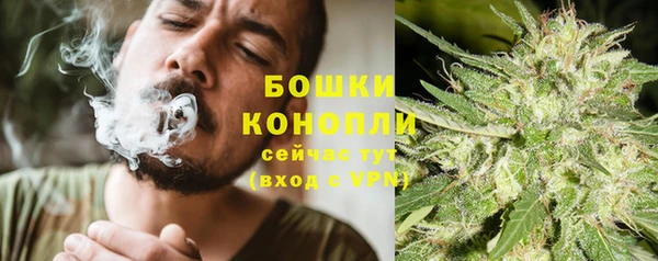 прущие грибы Абдулино