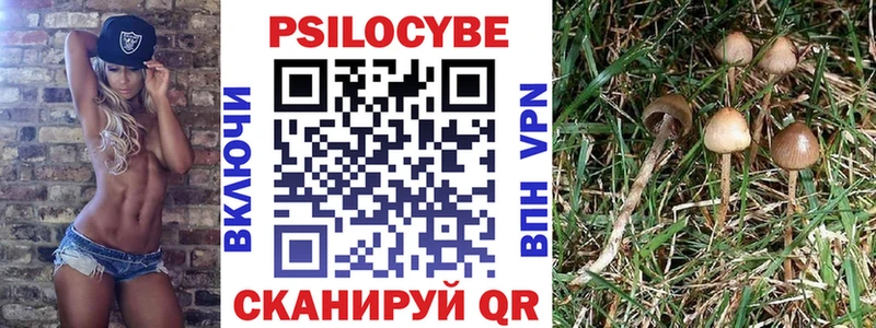 даркнет сайт  Красный Сулин  МЕГА tor  Псилоцибиновые грибы GOLDEN TEACHER 